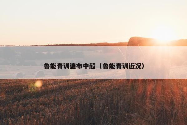 鲁能青训遍布中超（鲁能青训近况）