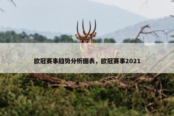 欧冠赛事趋势分析图表，欧冠赛事2021