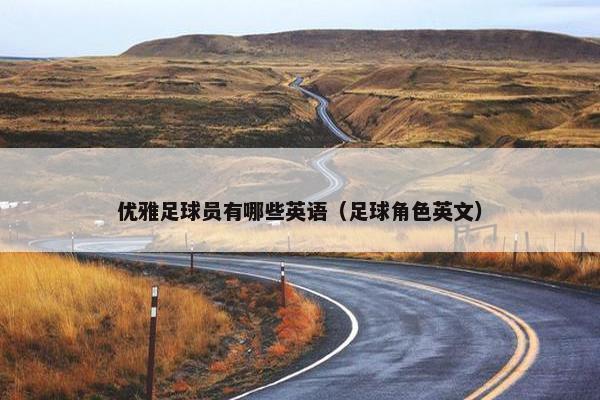优雅足球员有哪些英语（足球角色英文）
