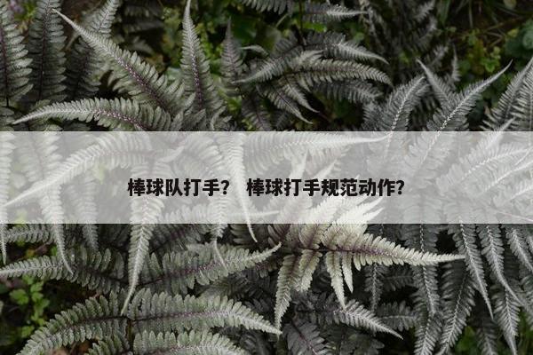 棒球队打手？ 棒球打手规范动作？