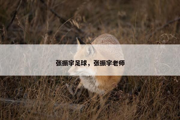 张振宇足球，张振宇老师