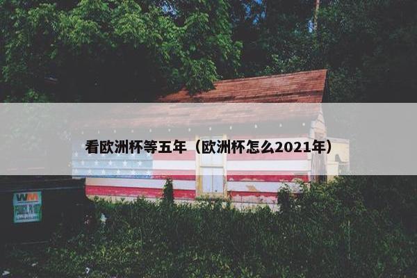 看欧洲杯等五年（欧洲杯怎么2021年）