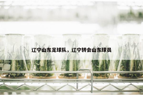 辽宁山东足球队，辽宁转会山东球员
