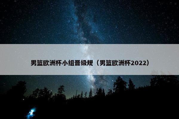 男篮欧洲杯小组晋级规（男篮欧洲杯2022）