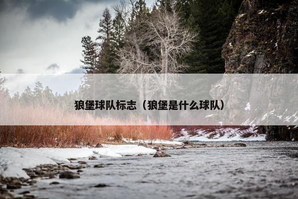 狼堡球队标志（狼堡是什么球队）