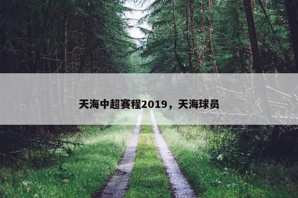 天海中超赛程2019，天海球员