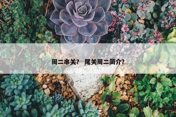 周二串关？ 尾关周二简介？
