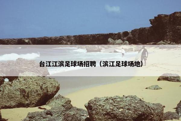 台江江滨足球场招聘（滨江足球场地）