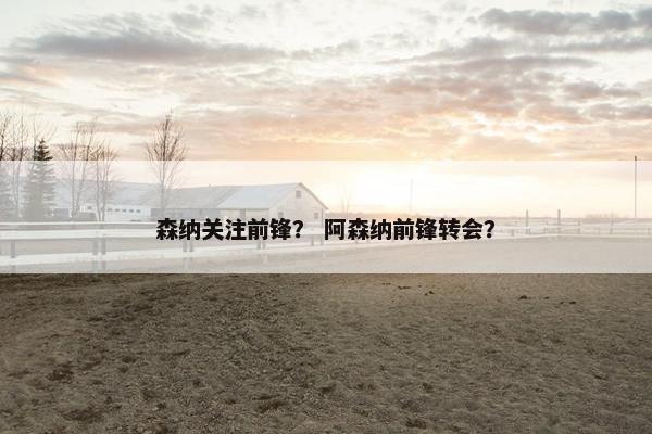 森纳关注前锋？ 阿森纳前锋转会？