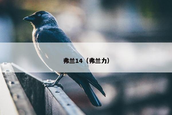 弗兰14（弗兰力）