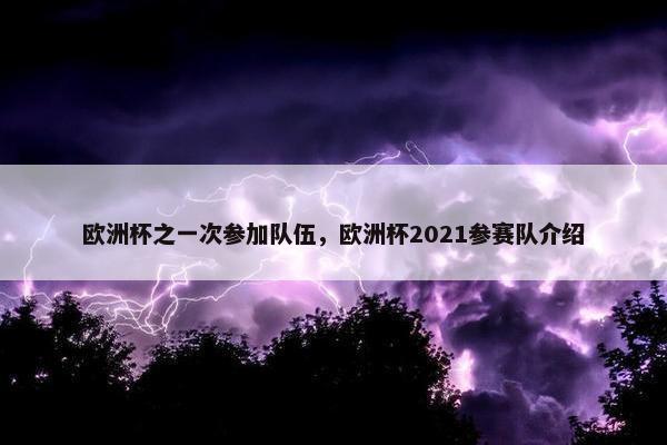 欧洲杯之一次参加队伍，欧洲杯2021参赛队介绍