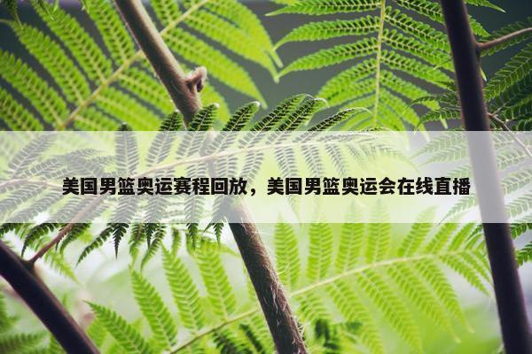 美国男篮奥运赛程回放，美国男篮奥运会在线直播