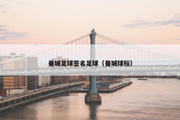 曼城足球签名足球（曼城球标）