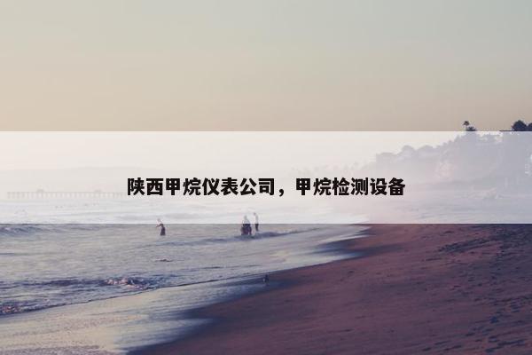 陕西甲烷仪表公司，甲烷检测设备
