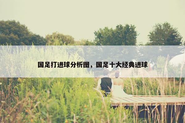 国足打进球分析图，国足十大经典进球