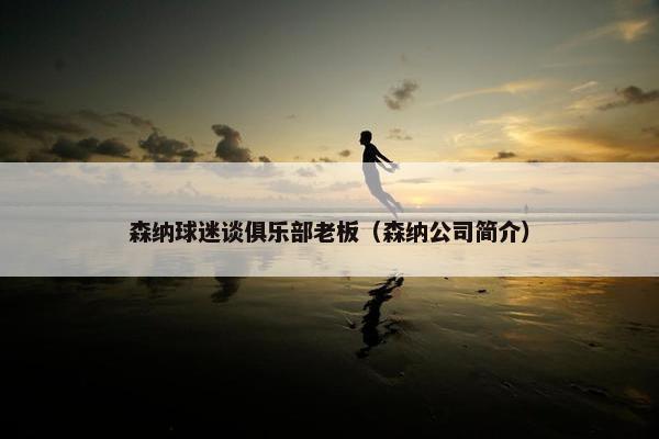森纳球迷谈俱乐部老板（森纳公司简介）
