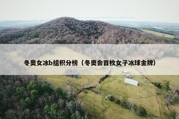 冬奥女冰b组积分榜（冬奥会首枚女子冰球金牌）