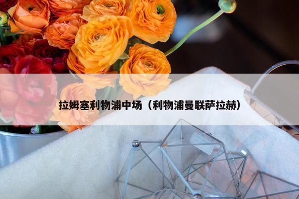拉姆塞利物浦中场（利物浦曼联萨拉赫）