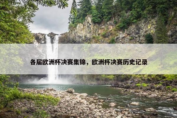 各届欧洲杯决赛集锦，欧洲杯决赛历史记录