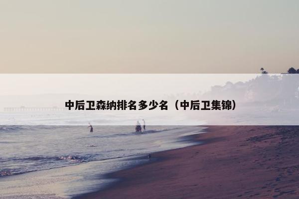 中后卫森纳排名多少名（中后卫集锦）