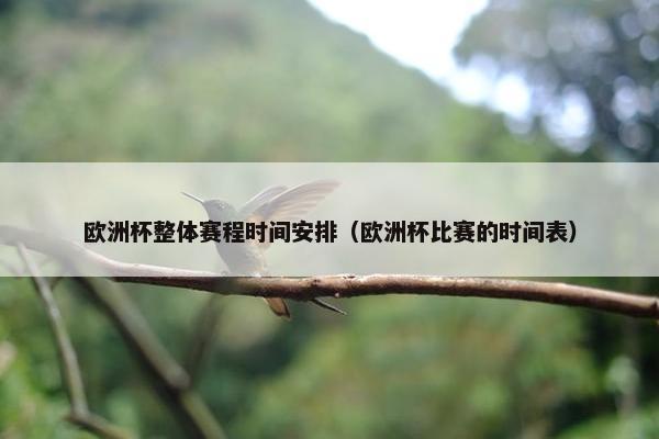 欧洲杯整体赛程时间安排（欧洲杯比赛的时间表）