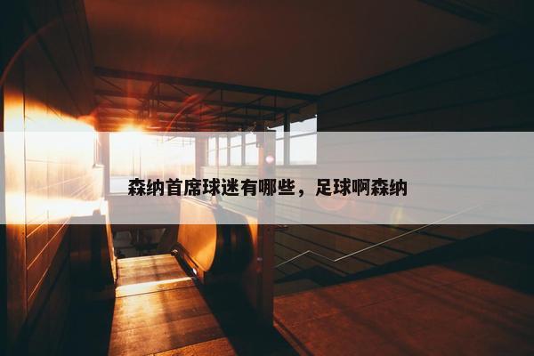 森纳首席球迷有哪些，足球啊森纳