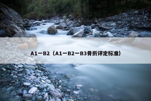 A1一B2（A1一B2一B3骨折评定标准）