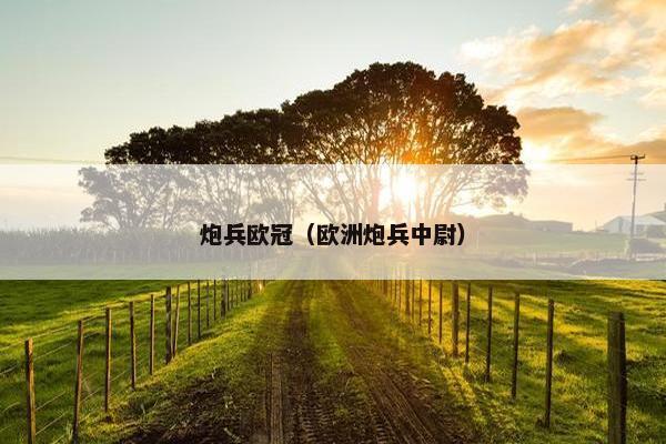炮兵欧冠（欧洲炮兵中尉）