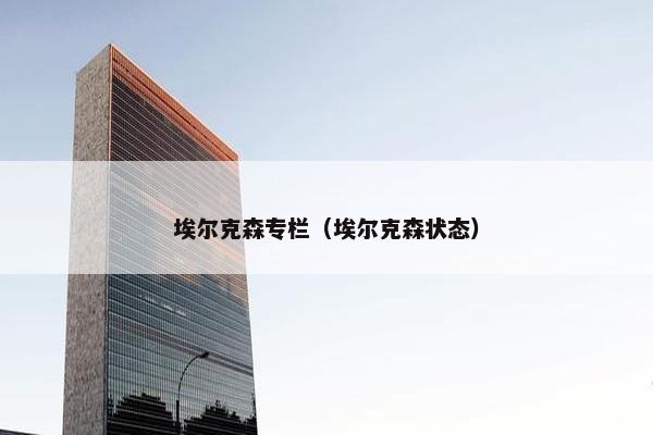 埃尔克森专栏（埃尔克森状态）