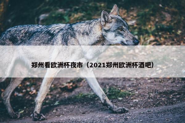 郑州看欧洲杯夜市（2021郑州欧洲杯酒吧）