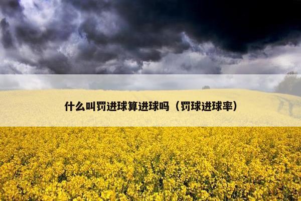 什么叫罚进球算进球吗（罚球进球率）