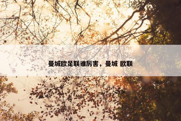 曼城欧足联谁厉害，曼城 欧联