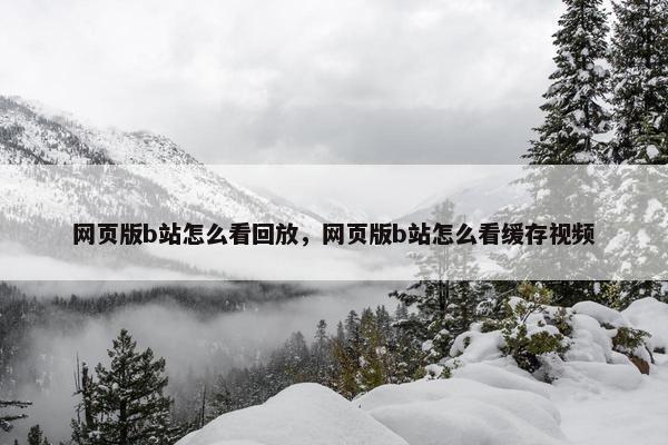 网页版b站怎么看回放，网页版b站怎么看缓存视频