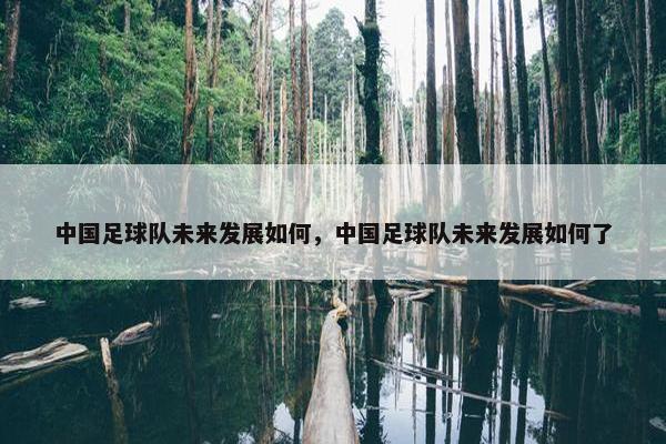 中国足球队未来发展如何，中国足球队未来发展如何了