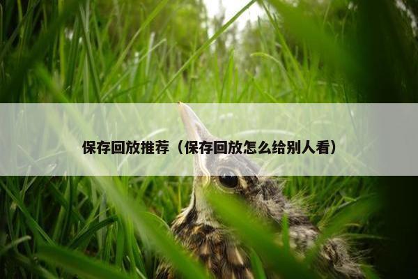 保存回放推荐（保存回放怎么给别人看）