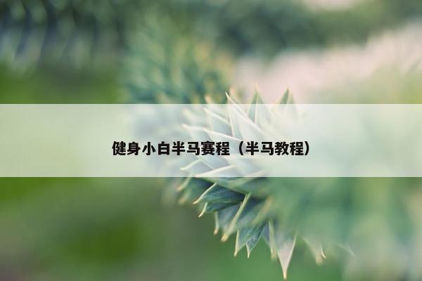 健身小白半马赛程（半马教程）