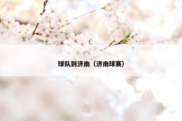 球队到济南（济南球赛）