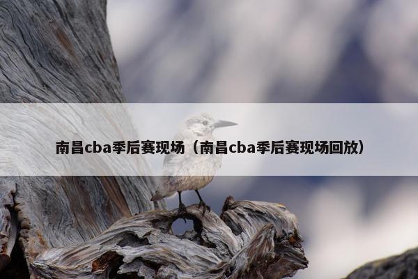 南昌cba季后赛现场（南昌cba季后赛现场回放）