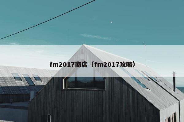 fm2017商店（fm2017攻略）