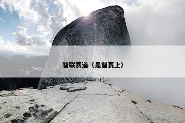 智联赛道（是智赛上）