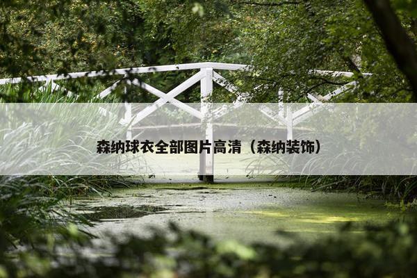 森纳球衣全部图片高清（森纳装饰）