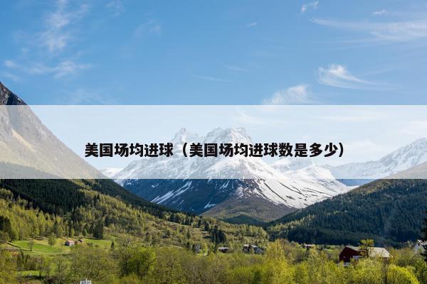 美国场均进球（美国场均进球数是多少）