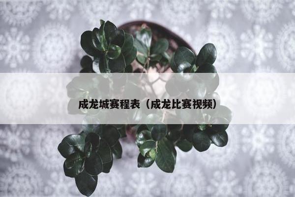 成龙城赛程表（成龙比赛视频）