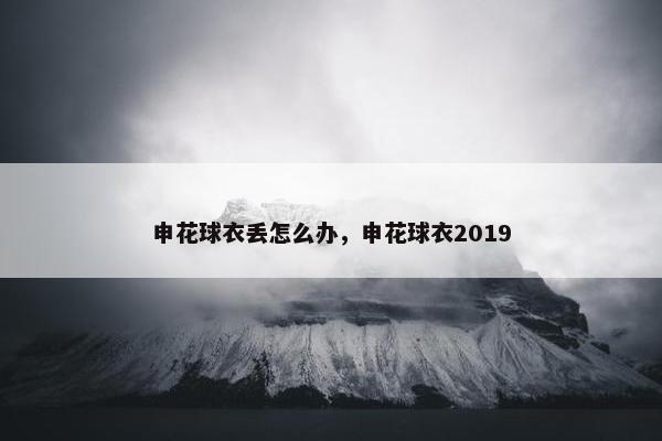申花球衣丢怎么办，申花球衣2019