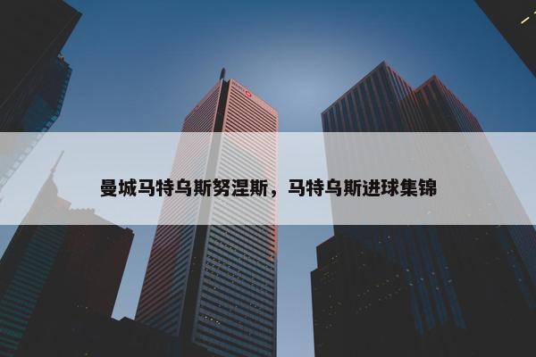 曼城马特乌斯努涅斯，马特乌斯进球集锦