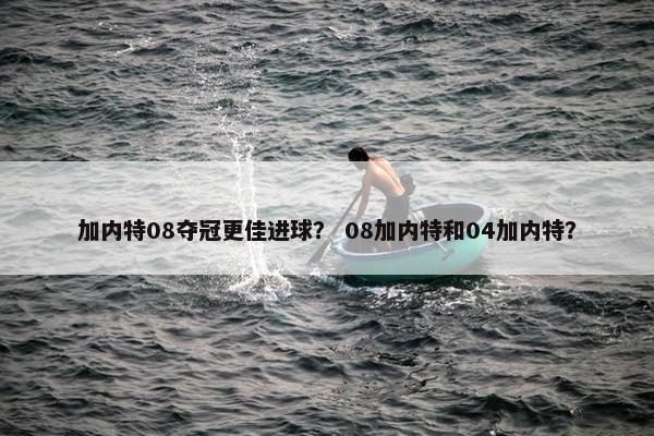 加内特08夺冠更佳进球？ 08加内特和04加内特？