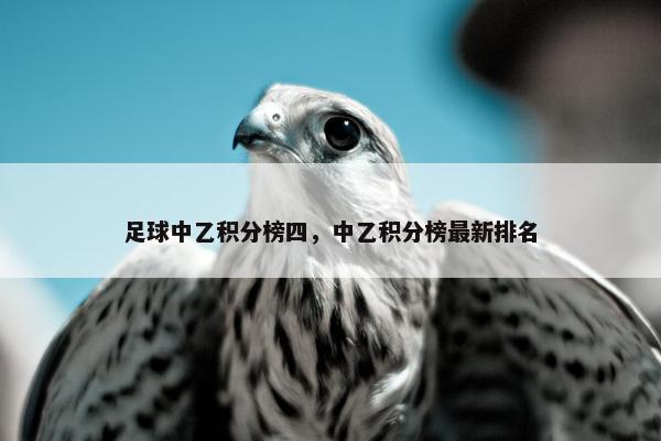 足球中乙积分榜四，中乙积分榜最新排名