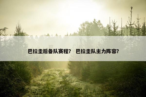 巴拉圭后备队赛程？ 巴拉圭队主力阵容？