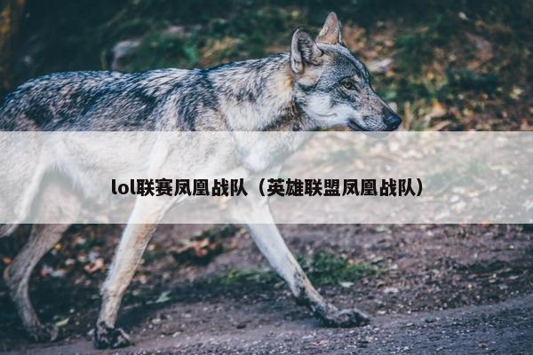 lol联赛凤凰战队（英雄联盟凤凰战队）