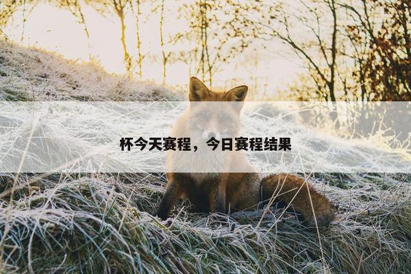 杯今天赛程，今日赛程结果